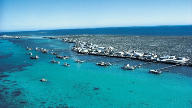 Coral Expeditions will circumnavigate Australia: Houtman Abrolhos Islands of the coast of Western Australia.