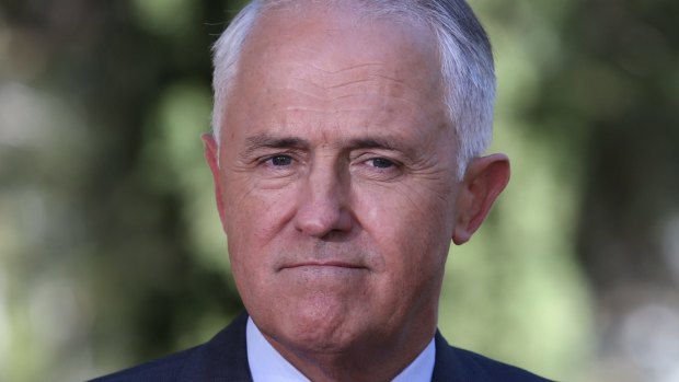 Malcolm Turnbull: Letting a hundred flowers wither on the vine.