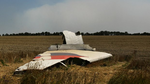A portion of the MH17 wing lies in the field as smoke rises behind the tree-line where fighting continued off the crash site.