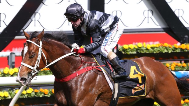 On the counter: Counterattack will go after a group 1 victory in Saturday's Kingsford Smith Cup at Eagle Farm 