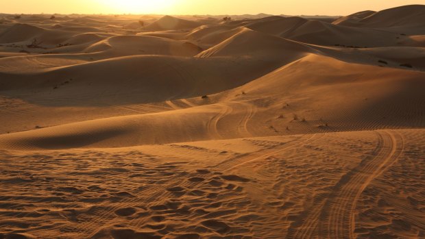 Four wheel drive tracks and sunset in the desert of Abu Dhabi in the United Arab Emirates. 
