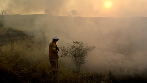 Rural firefighter Rhianna Sneesby from Tuncurry mops up a grass fire just after dawn near Holt on Sunday, January 19, 2003.