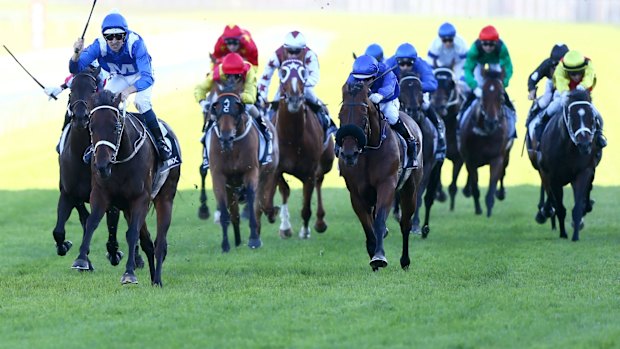 Wonder horse: Winx tears away to win the Doncaster Mile in April.