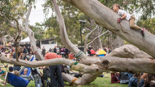 Just hanging out: the Meredith Music Festival.