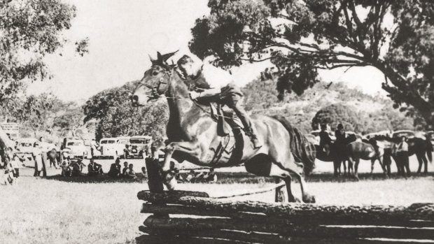 Out of the saddle for a jump at the 1948 Tharwa Show: About as far from a horse Max Oldfield ever was during those years. 