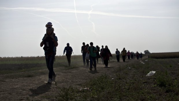 The long way round: Migrants trek through a field in order to get to Serbia's border with Croatia.