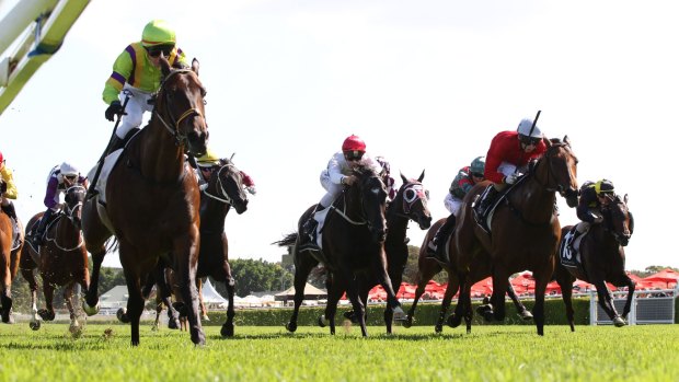 Powerful run: Jockey Kerrin McEvoy rides Solicit (front left) to win The Guy Walter Stakes at Randwick. Photo: bradleyphotos.com.au
