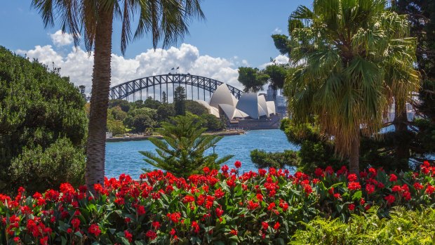 Sydney's Royal Botanic Garden is surely the most picturesquely located public garden in the world.