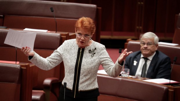 One Nation leader Pauline Hanson during question time on Thursday.