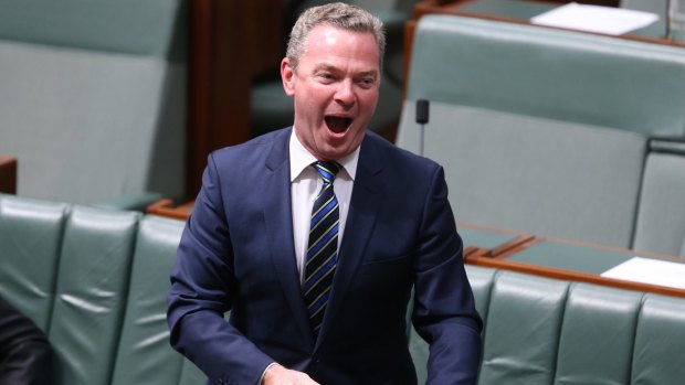 Defence Industries Minister Christopher Pyne during question time on Tuesday.
