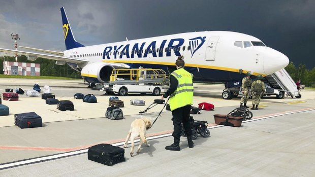 Security use a sniffer dog to check the luggage of passengers on the Ryanair plane after it landed in Minsk.