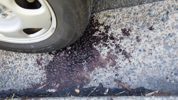 Blood on the road at Condell Park where two men were shot.