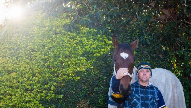 Time to shine: Trainer Vaughn Sigley is optimistic about Black Heart Bart's chances on Saturday.