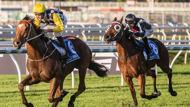 Unbelievable: Jockey Hugh Bowman was mightly impressed with Clearly Innocent's winning performance in the group 1 Kingsford-Smith Cup at Eagle Farm on Saturday.
