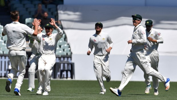 Australian players celebrate the dismissal of England's Alistair Cook.