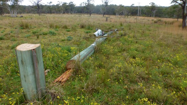 The power line felled by would-be copper thieves in Doyalson on the NSW Central Coast on Monday.
