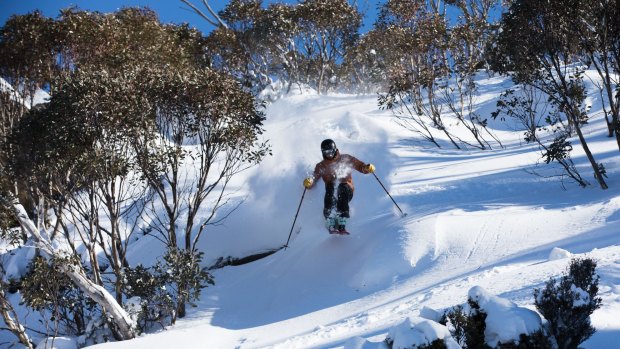 Skiing in Thredbo.