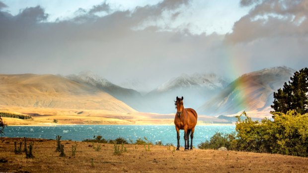 Amazing blue colours await at Lake Tekapo in New Zealand as a result of all of the mineral deposits.  Add to this an early morning sunrise, a rainbow in the distance, and a horse posing in the perfect position, and I have ended up with a very memorable picture :-)