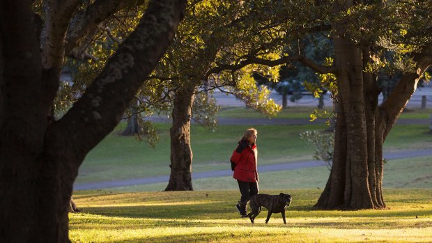 A woman walks through Moore Park, Sydney, at sunrise.  
