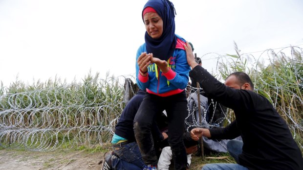 A Syrian girl holds her hand after it was caught on razor wire along the Hungarian-Serbian border on Wednesday.