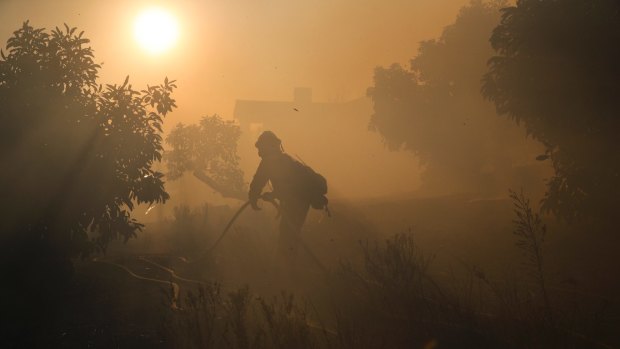 A firefighter pulls a water hose as a wildfires continue to burn in Santa Paula, California.