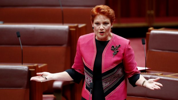 One Nation senator Pauline Hanson has taken credit for a review of the family law system.