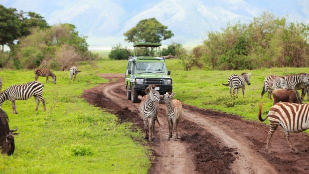 There's never any shortage of wildlife on a game drive around Ngorongoro Crater in Tanzania.