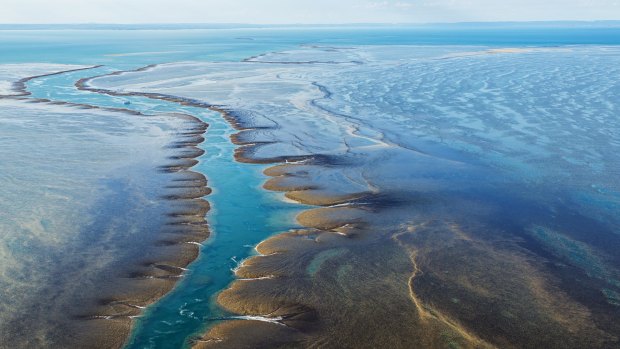 Aerial view of Montgomery Reef, Kimberley, Western Australia.