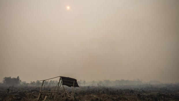 Choking smog from Indonesian forest fires is blanketing much of south-east Asia. 