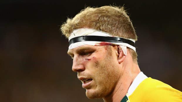 David Pocock leaves the field with a fractured eye socket in the first Test.