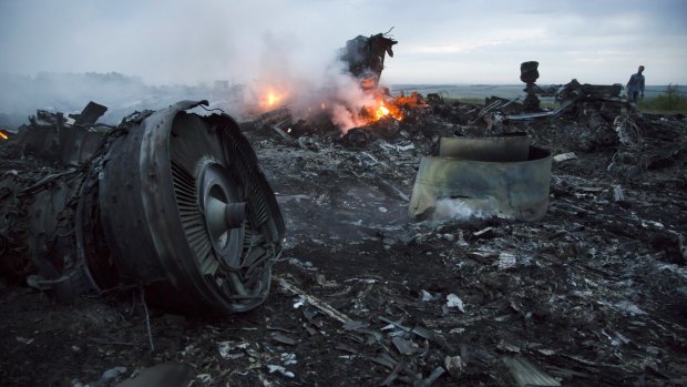 A man walks among the debris at the MH17 crash site near the village of Hrabove, Ukraine on July 17, 2014.