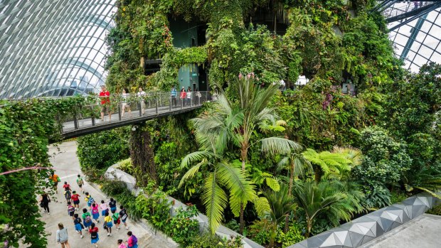 Singapore's Cloud Forest Dome is a thoroughly modern greenhouse that you explore on multiple levels.
