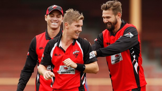 Good move: Adam Zampa is happy he shifted from NSW to South Australia. 