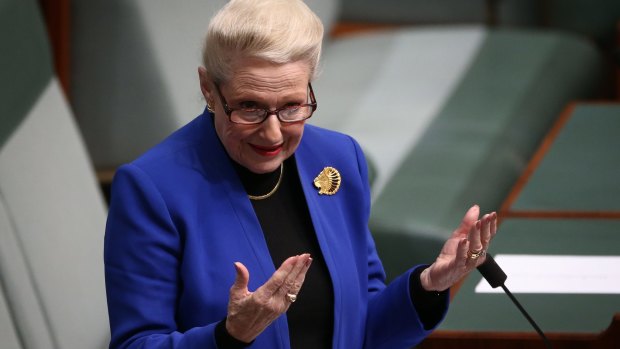 Bronwyn Bishop lost the speakership and is now fighting to retain her seat in Parliament.