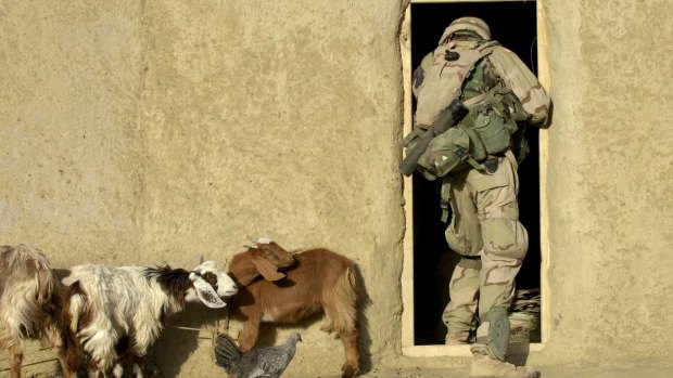 A US soldier of the 82nd airborne is watched by goats as he searches a house near the border with Pakistan in September 2002.