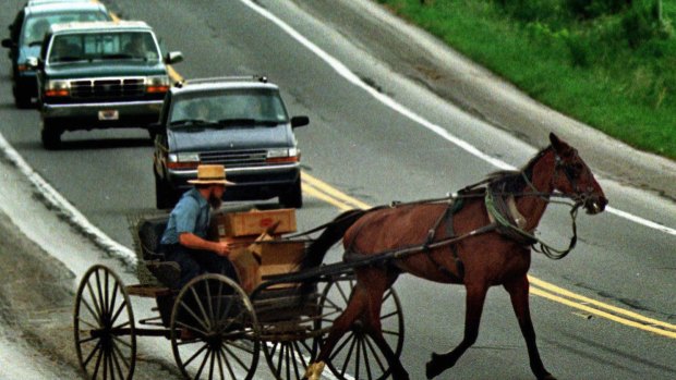 An Amish man cuts his horse-drawn buggy across traffic in Lancaster County.