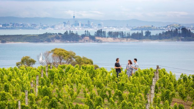 There are more than 20 vineyards on Waiheke.