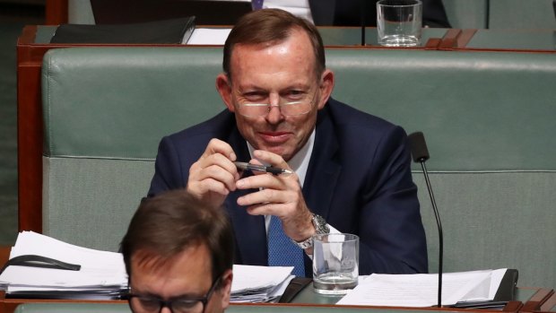 Tony Abbott says it would be "unconscionable" for the government to support a clean energy target.