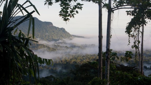 The Meakambut area in Papua New Guinea: The further into the PNG jungle you go, the quieter and gentler it becomes.