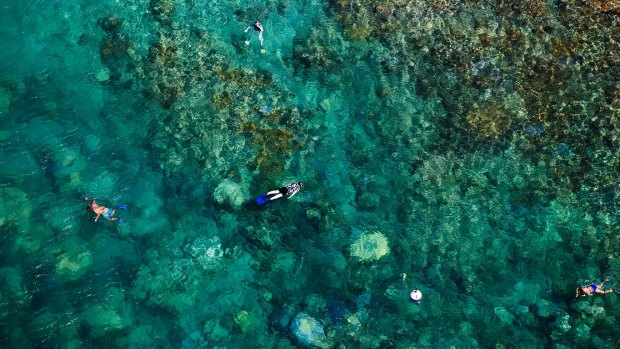 Snorkelling in New Caledonia.