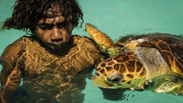 Close contact: If the turtles are feeling friendly, you can join them for a swim as shown by this boy with a loggerhead turtle in waters off Isle of Pines.