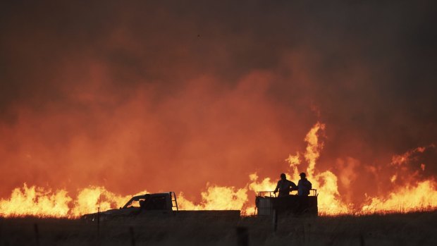 Farmers battle a fire near Cassilis in the central west of New South Wales.