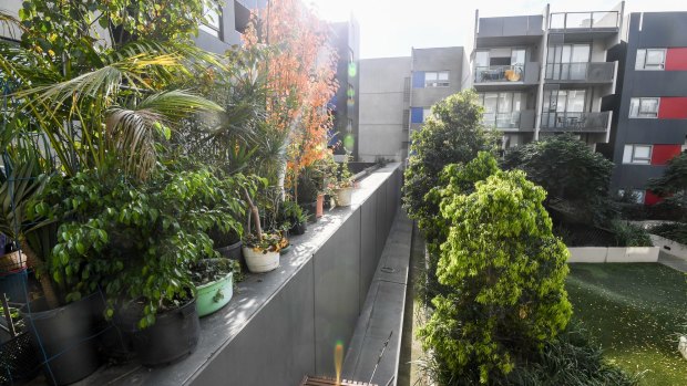 The wall separating the public housing (left) from private apartments and their exclusive garden at the Carlton development.  