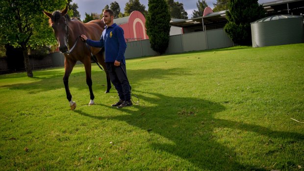 New girl: Black Caviar's daughter Oscietra with track rider Freddy Lenclud.