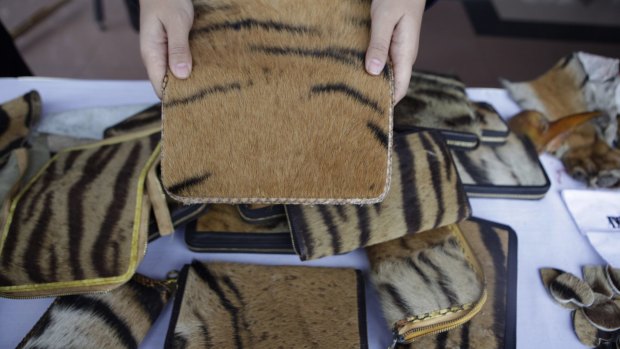 An Indonesian police official shows wallets made from tiger skin in Jakarta last week.
  