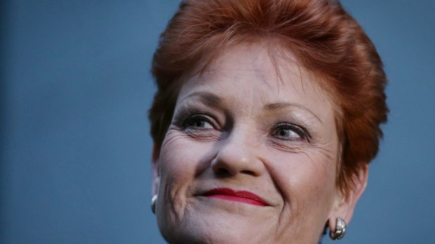 One Nation Senator Pauline Hanson addresses the media on Tuesday.