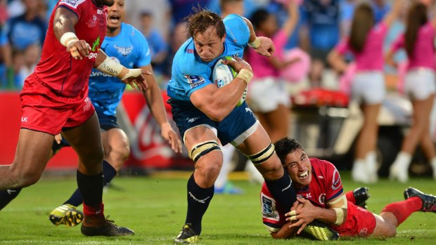 Rampage: Arno Botha charges for the Bulls against the Reds at Loftus Versfeld.