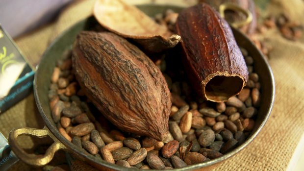 Roasted cocoa beans are ground into a powder then made into chocolate.