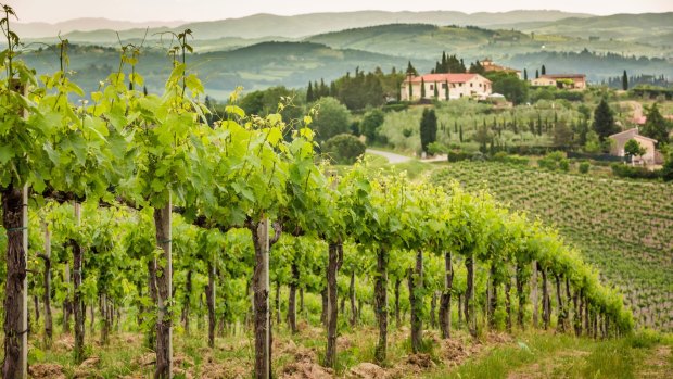There are days to hear elaborate grape tales and nights to skip the romance of Tuscan viticulture and get straight to the part where the glass is full.