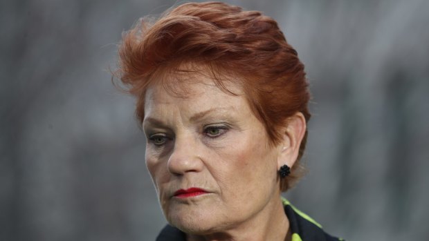 Senator Pauline Hanson during a press conference on Thursday.